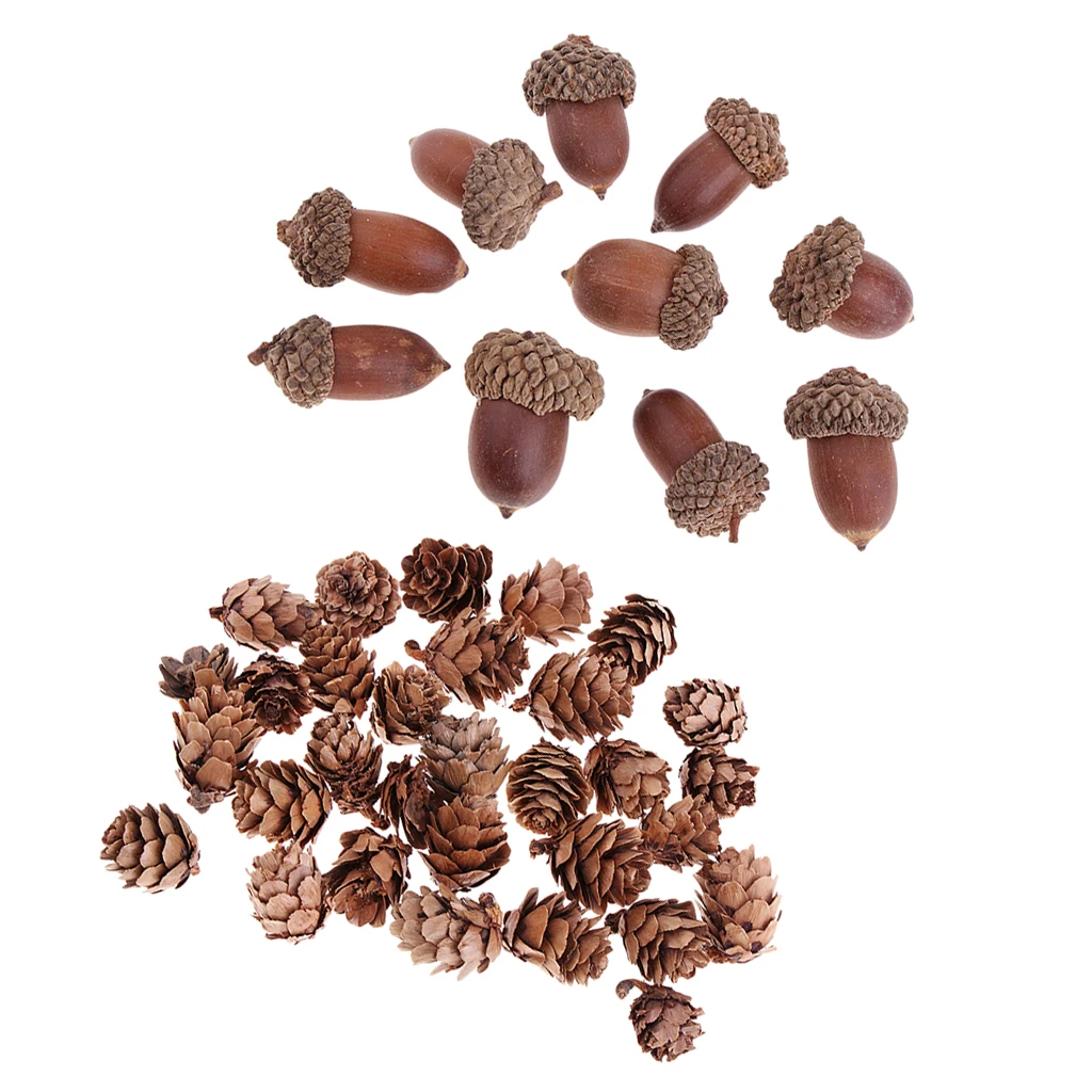 

40Pcs Natural Mini Pine Cones Acorns Dried Flowers Christmas Accents Decoration Ornaments