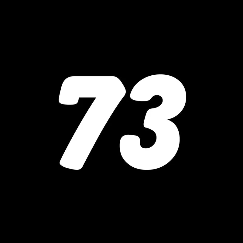 YJZT 15 см * 11 1 Забавный гоночный номер 73 виниловый автомобильный стикер наклейка