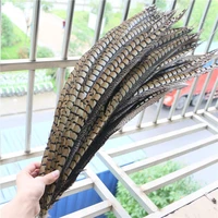 china zp factory 50pcslot large size 80 90cm32 36inch good quality natural lady amherst pheasant tail feathers