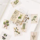 Наклейки декоративные Печать растения, 45 шт.коробка, дневник в стиле Скрапбукинг