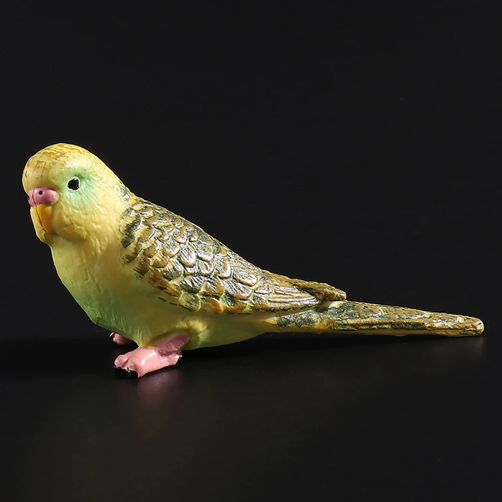 Эмуляция попугая Budgerigar Птица Животное модель игрушка пластиковое