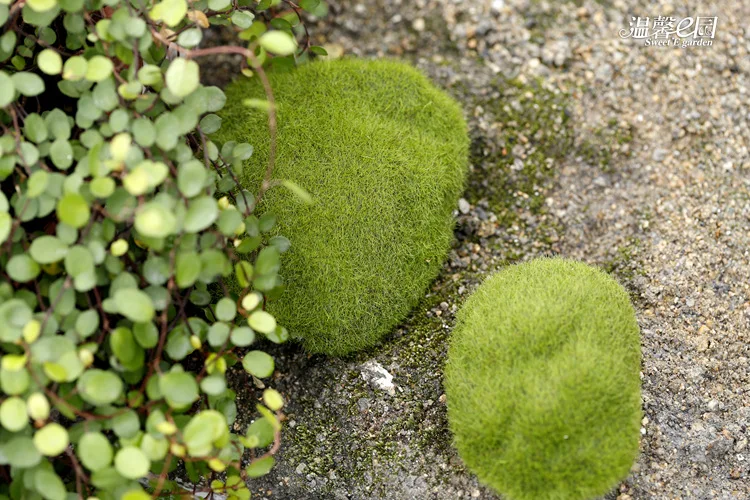 1 шт./лот моделирование bryophyte камень мох Флокирование ложный лужайка микро Пейзаж