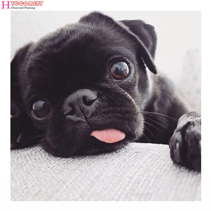 

Алмазная 5D картина «сделай сам» с полным заполнением стразами, вышивка крестиком в виде животного, черного мопса, стразы, мозаика, домашний ...