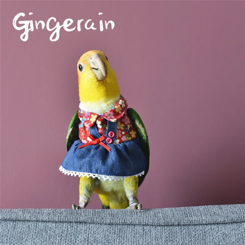 Gingerain одежда с птицами попугай джинсовая юбка оригинальная ручная работа на