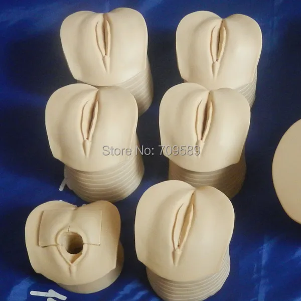 ISO усовершенствованный симулятор труда и доставки демонстрационный