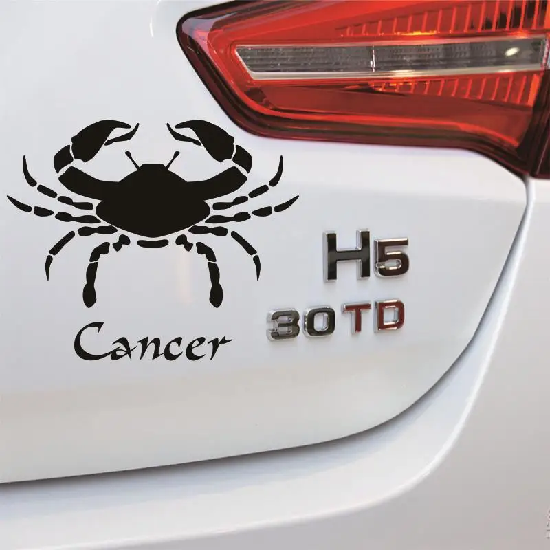 Dctal двенадцать созвездий стикер логотип переводная виниловая настенная Pegatina