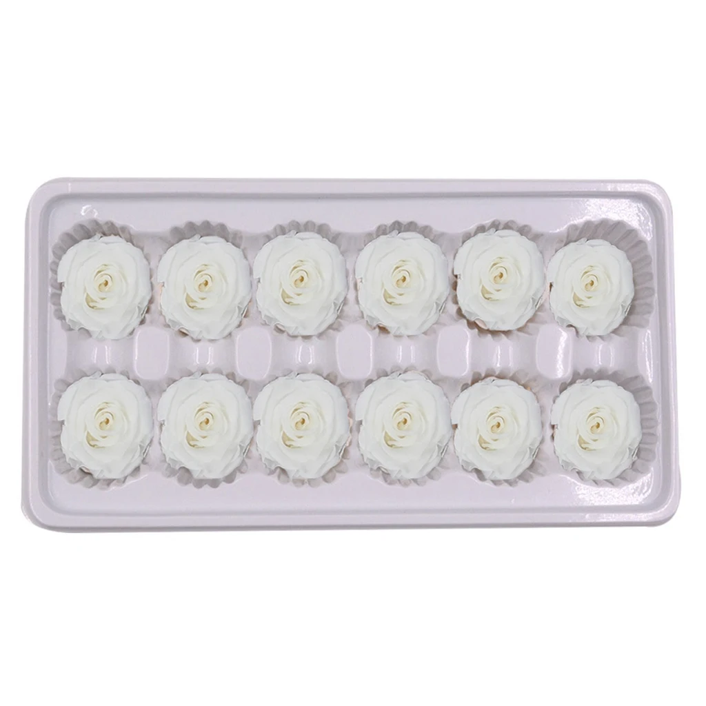 B 12pcs 12 шт./24 шт./кор. "Законсервированные" Цветы бессмертный роза 3-4 см является допустимой измерений в пределах 2-3 см Диаметр на День святого Валентина, подарок ко Дню вечная жизнь цветок Материал подарочная коробка - Цвет: B 12pcs