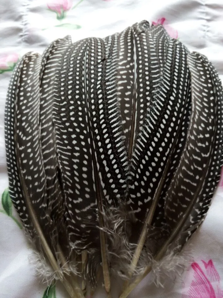 100 шт. декоративные перья птицы 15 20 см 6 8 дюймов|natural guinea fowl feather|guinea featherschicken feather |