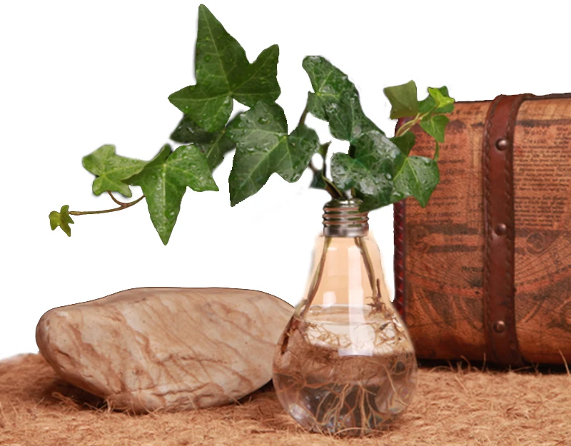 Прозрачная настольная стеклянная ваза в форме лампы Гидропонные контейнеры для