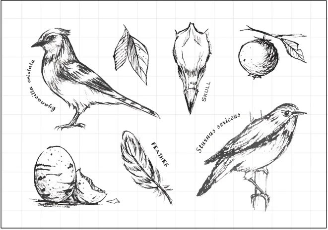 Птицы 1 чистый штамп для скрапбукинга Прозрачная силиконовая резина