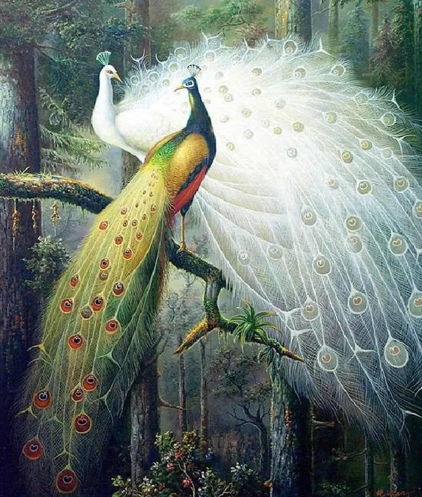 

Kit for Needlework,DIY Cross stitch, Embroidery kit,forest love couple bird peacock print pattern Cross-Stitch animal painting