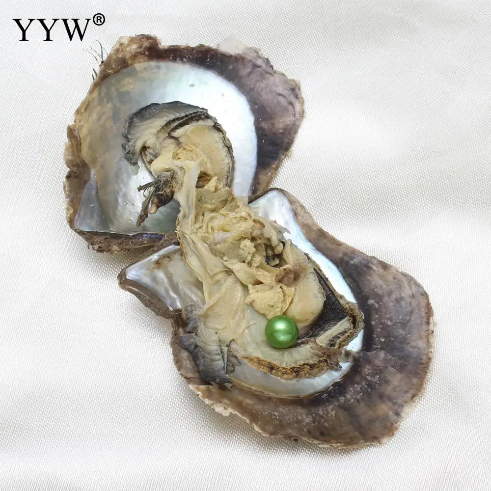 20 штук пакет 7 8 мм жемчужный Oyster Akoya культивированный жемчуг картофель смешанные