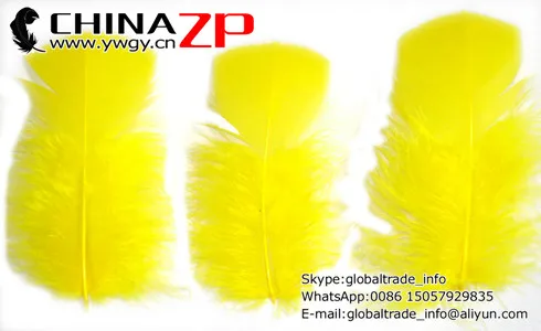 CHINAZP Factory Розничная и оптовая продажа 500 шт./лот уникальные окрашенные желтые