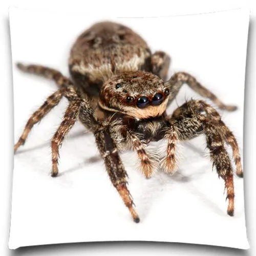 Наволочка на подушку с изображением петуха/паука 9 стилей 16 18 20 дюймов | Дом и сад