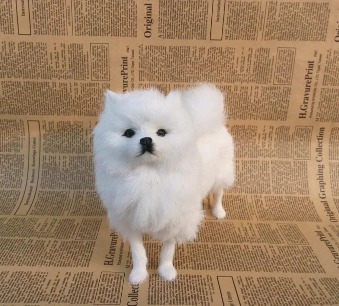 

Simulation model of dog commanding, home furnishing articles animal to send his girlfriend a birthday holiday gifts