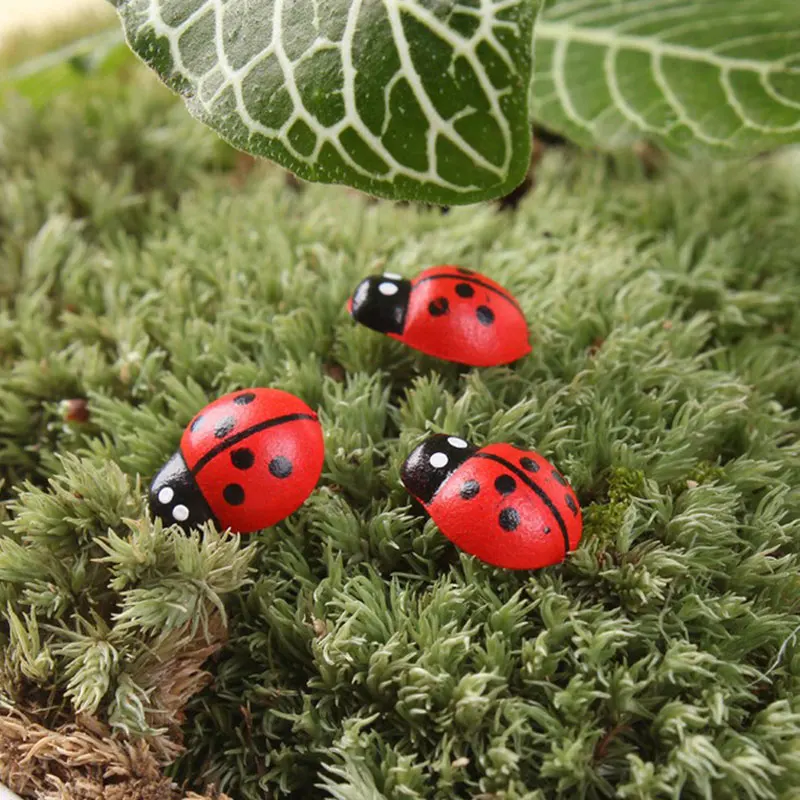 100 ⑤ упак. деревянная Божья коровка стикер дети окрашенные клей обратно DIY