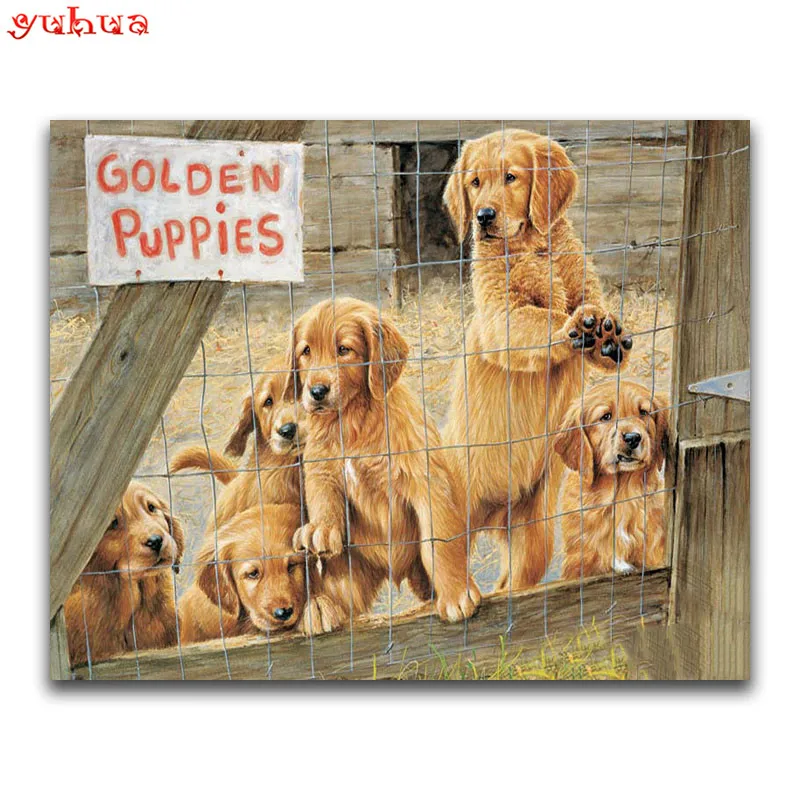 5D DIY Diamond painting Cross stitch Animal Full Square embroidery dog Round mosaic Golden retriever | Дом и сад