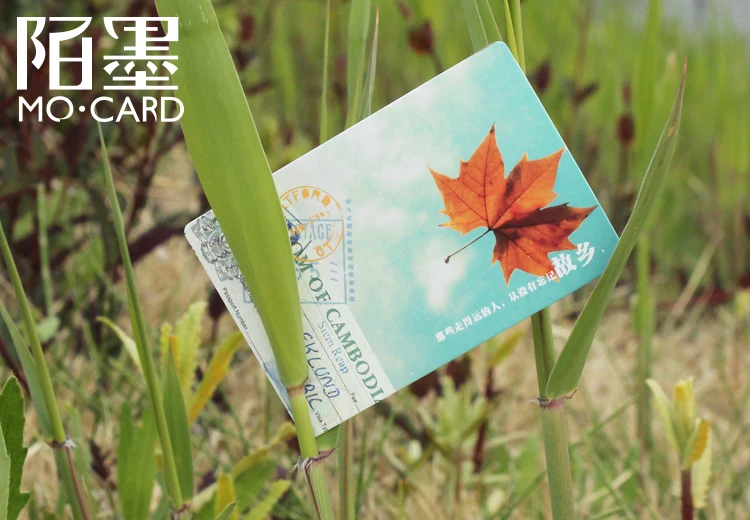 Мексиканская уличная карта нот вместе в удаленные места для просмотра коллекция