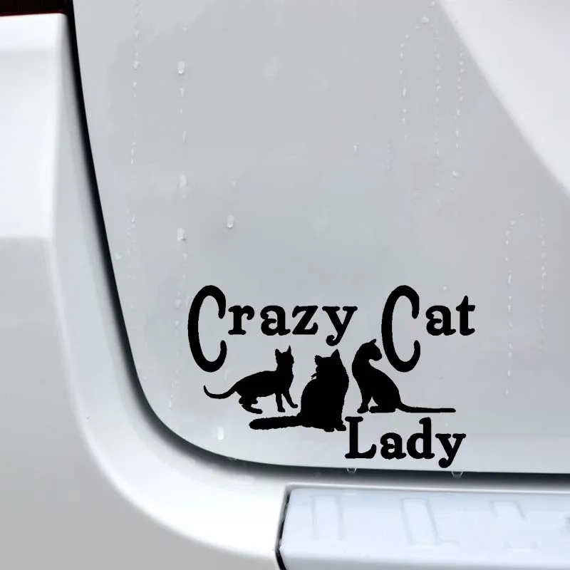 YJZT 15 5 см * 9 виниловые наклейки с изображением Crazy Cat Lady забавные автомобильные