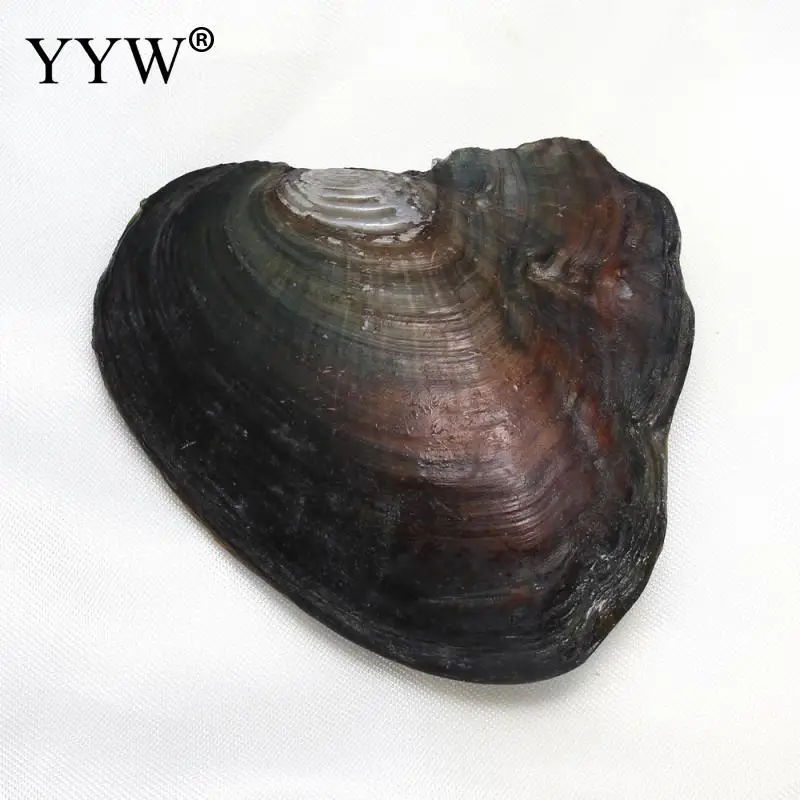 Вакуумная упаковка пресноводных жемчужин Oyster Wish 8-9 мм жемчужин внутри оболочки для ювелирных изделий DIY серьги бусины и таинственный подарок