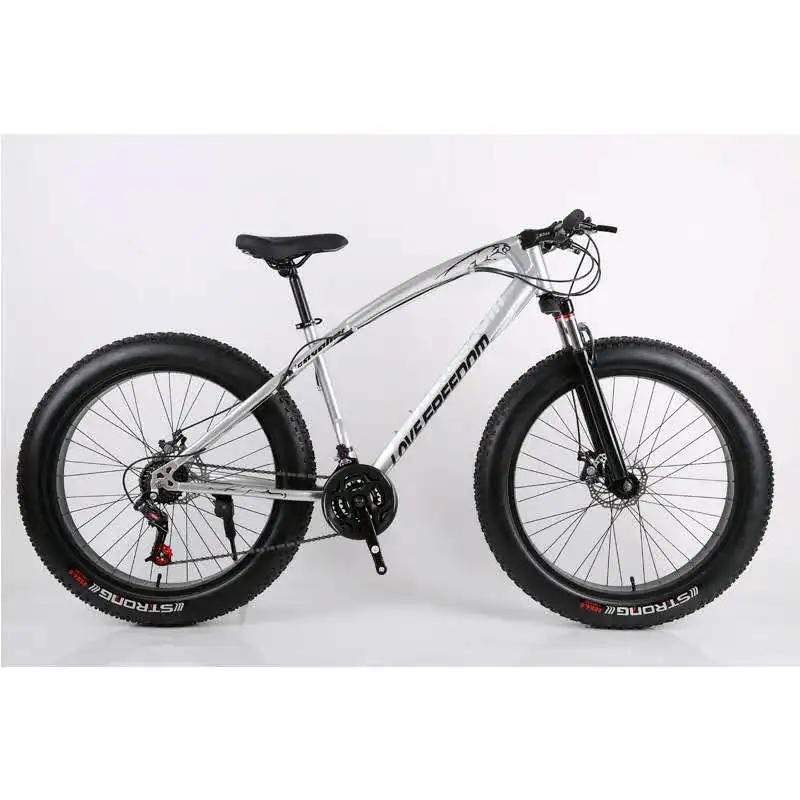 20 Inches Bicycle Beach Snow Bicycle 21 Speed Double Disc Brake Wide Tire Cross-country Variable Speed Bicycle Spoke Wheel Bike - Цвет: White 24speed