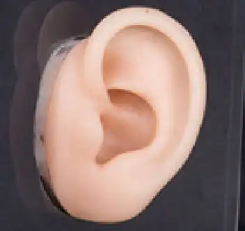 skin color left Модель силиконовых ушей модель мягких ушей модель человеческого уха модель моделирования слухового аппарата дисплей реквизит Обучающие инструменты ювелирные изделия дисплей серьги - Цвет: skin color left
