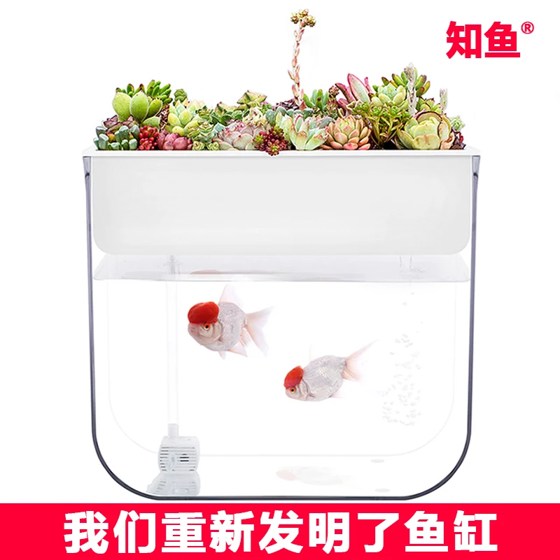 Novice ультра прозрачный пластиковый аквариум для рыб Aquaponic Betta миски Настольный