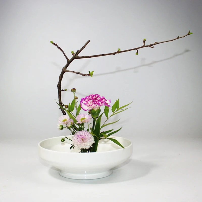 Китайский Селадон цветочный горшок суккулентный Zen Аранжировка бассейна