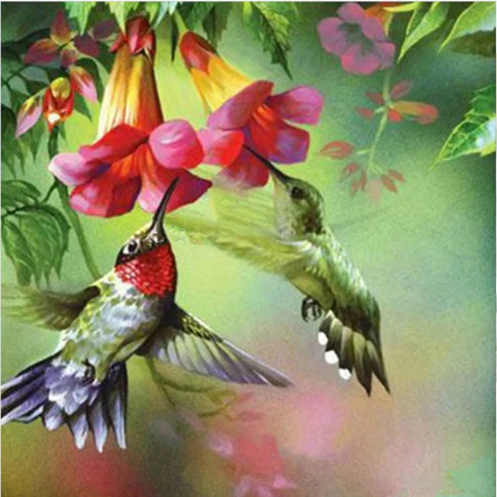 A-00340 Moge Алмазная картина Brids Flowers DiY Алмазная картина полная круглая "Птицы Цветы" Алмазная вышивка крестиком домашний декор - Цвет: A-00340