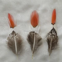 50pcslot 5 9cm long pheasant featherslady amherst pheasant feather orange red tippedwholesale lot