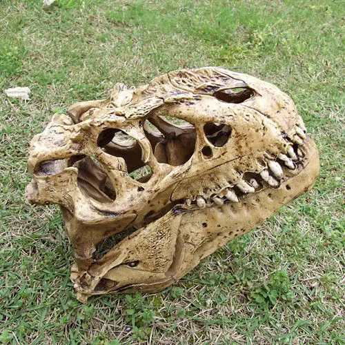 Смола динозавр Рекс Череп модель искусственная динозавра|dinosaur cookie cutter set|dinosaur