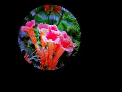 3D светодиодный вентилятор для рекламы вращающийся дисплей диаметр 440 мм 200 цветов