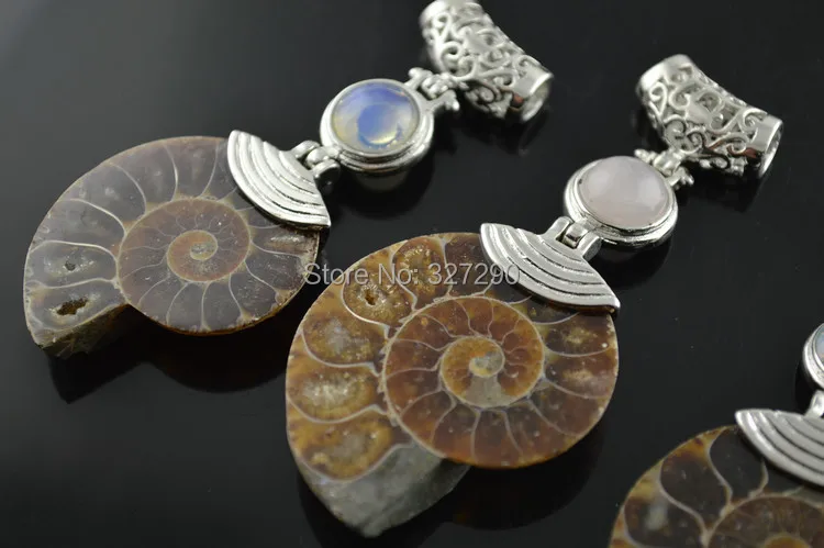 Новинка 2015 древняя натуральная ракушка наутилуса подвеска из аммонитового камня