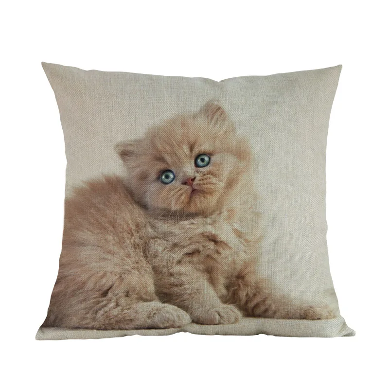 Милый маленький кот Британский Короткий волос котенок льняная короткая плюшевая