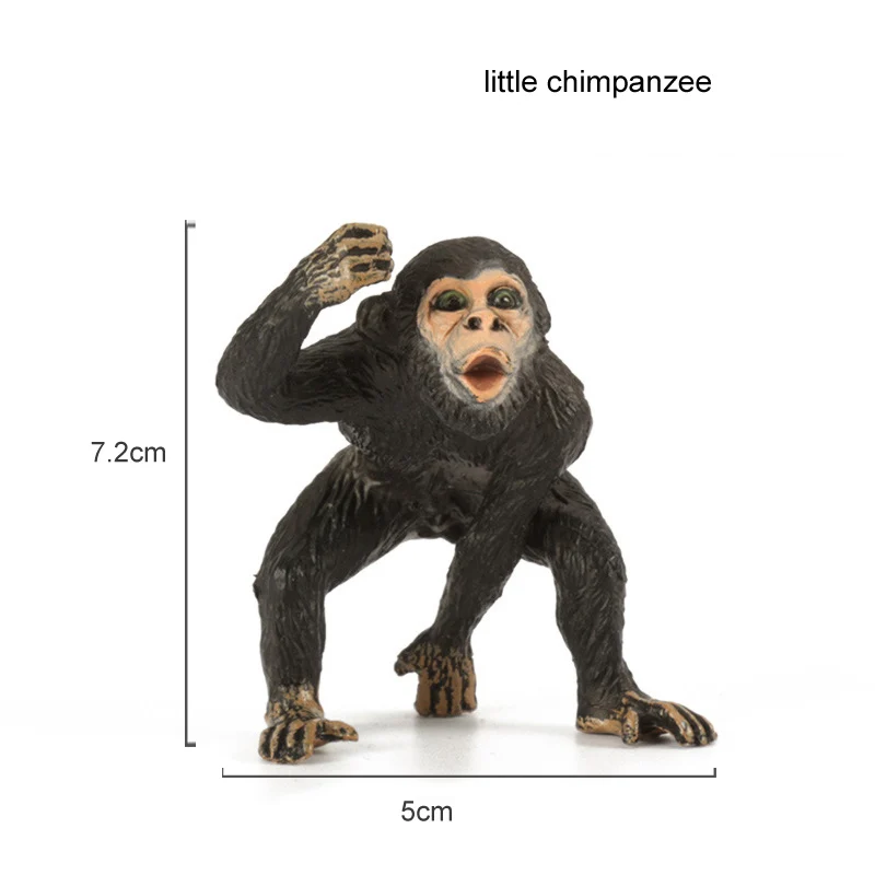 little chimpanzee Детские игрушки, пластиковая фигурка животного из зоопарка, олень, леопард, бегемот, медведь, модель животного, мини-фигурка, набор, аксессуары для домашнего декора - Цвет: little chimpanzee