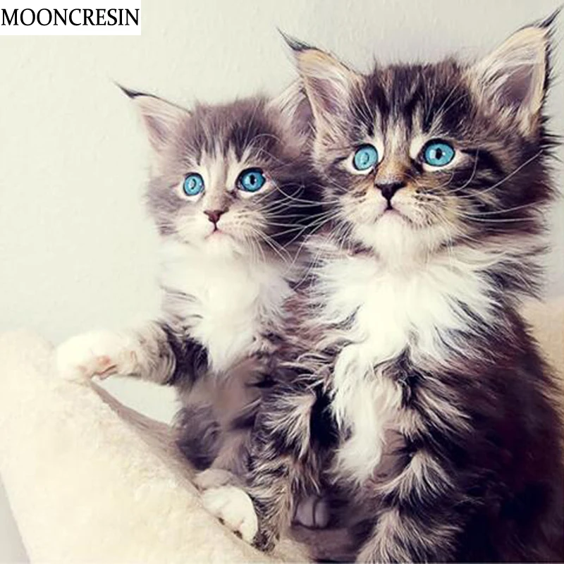 

Сделай Сам Алмазная вышивка крестиком набор 5D алмазная Картина кошки полностью квадратные Стразы мозаика картина по номеру украшение дома