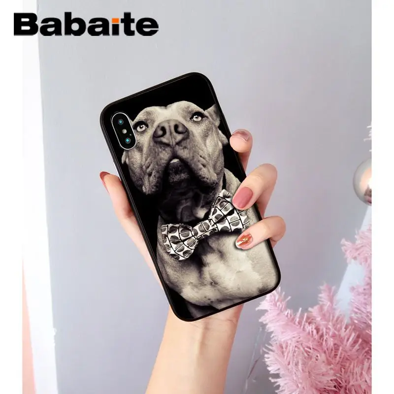 Babaite прекрасный питомец питбуль Новинка чехол для телефона Fundas чехол для iPhone X XS MAX 6 6S 7 7plus 8 8Plus 5 5S XR чехол