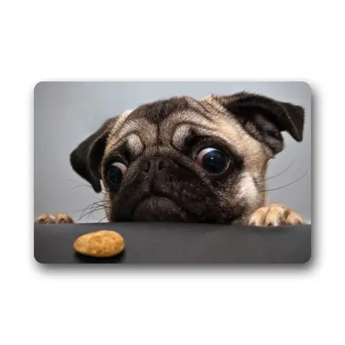 Память дома машинная моющаяся дверь мат Забавный Мопс Собака Крытый Коврик