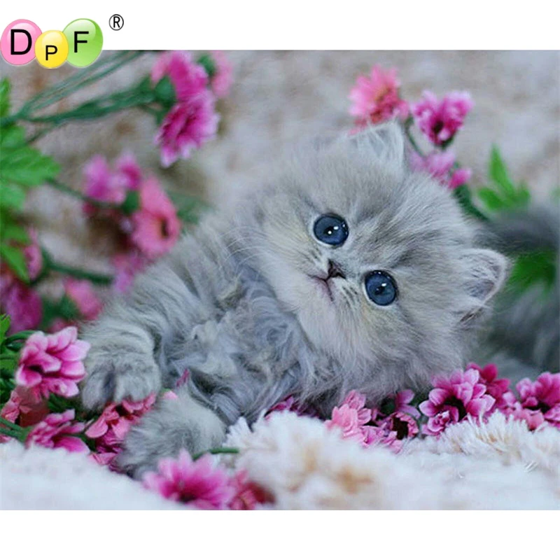 

DPF полный ассортимент 5D алмазная живопись своими руками вышивка крестиком Кошка Домашняя Алмазная вышивка алмазная живопись подарок