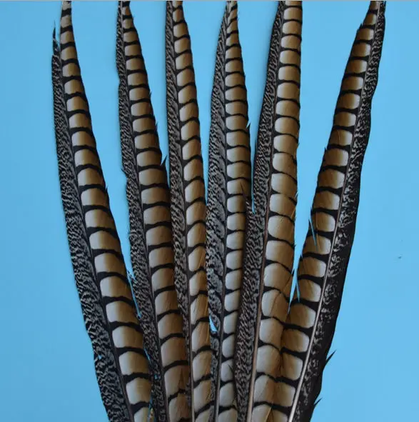 10 шт. высококачественные оригинальные натуральные женские перышки Amher pheasant 4-44