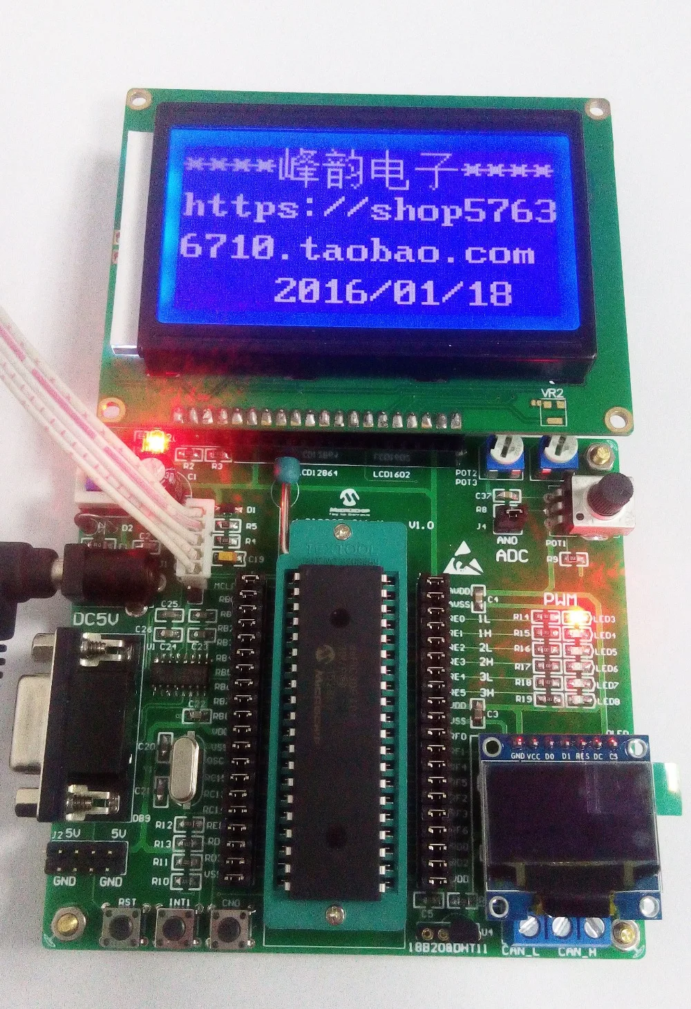DsPIC макетная плата dsPIC Экспериментальная плата DSP системная плата dsPIC 30F4011 макетная плата PDIP посылка