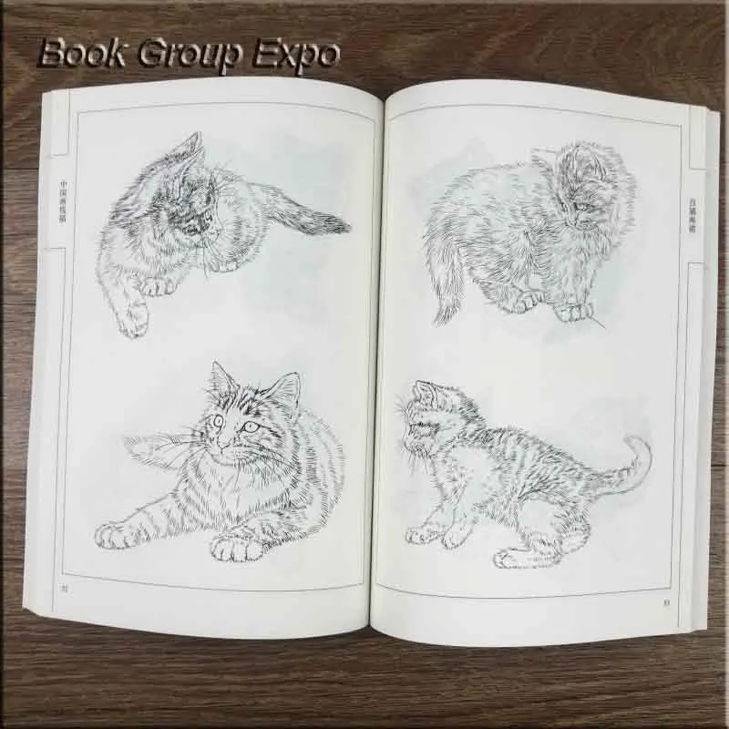 Книга раскраска для детей и взрослых 94 страницы|painting drawing|animal drawingsanimal painting |