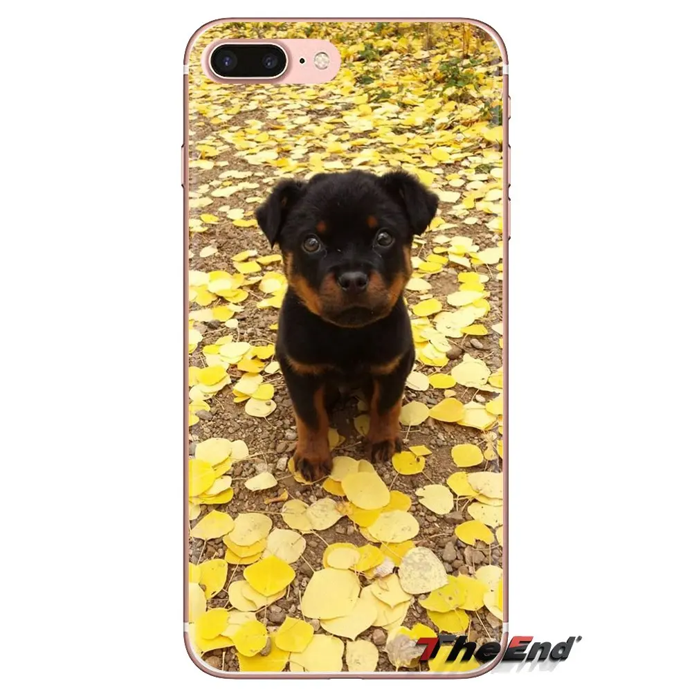 Силиконовый чехол с изображением щенков из немецкой ротвейлера для iPod Touch Apple iPhone