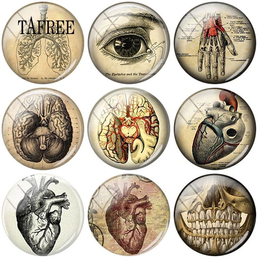 

TAFREE Human eyes hands Heart mouth 25mm Glass Cabochon DIY gift organ picture Fashion Jewelry Findings