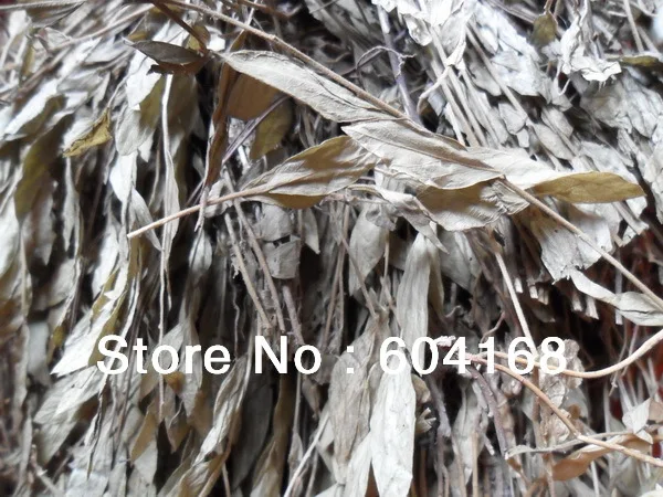 Лечение всех видов рака/уплотнений в Молочных железах Мастит рак Молочной железы