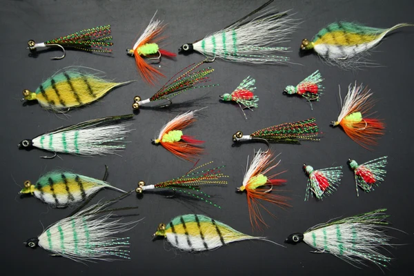 

Мухи Clouser для ловли соленой воды, форели, нахлыстом, 40 шт.