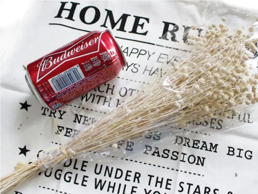 

60pcs Preserved Dried Flax Fruits Flowers For Craft Gift Material Accessory Decoration Flower Arranging DIY Bouquet Making