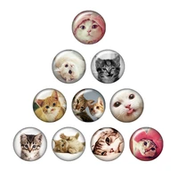 lovely cats cartoon cats 10pcs mixed 12mm16mm18mm25mm round photo glass cabochon demo flat back making findings