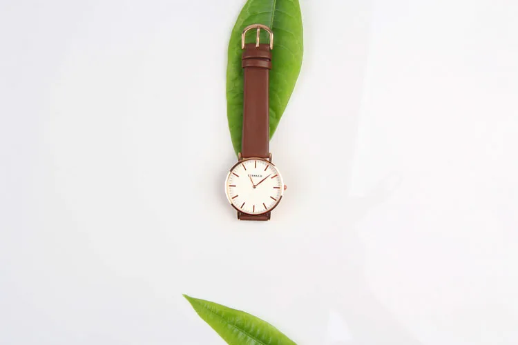 BINSSAW, женские кварцевые часы, роскошный бренд, модные, Reloj Mujer, деловые, нежные, кожаные, женские наручные часы, Relogio Feminino - Цвет: Brown