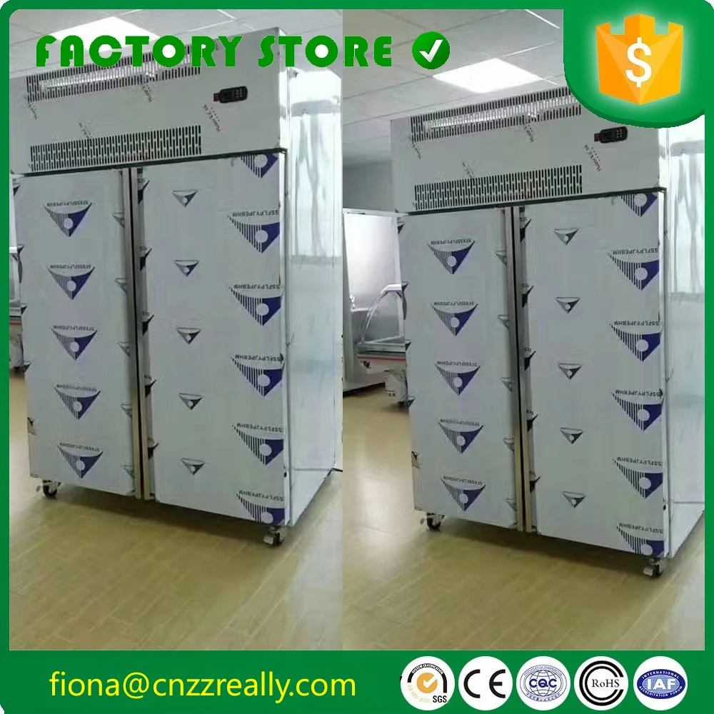 

Double doors OEM 18 degrees below zero to zero 220V industrial fish meat fast forzen display case price for sale
